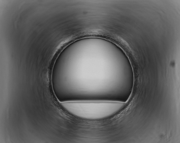 X0000100851218200806200754