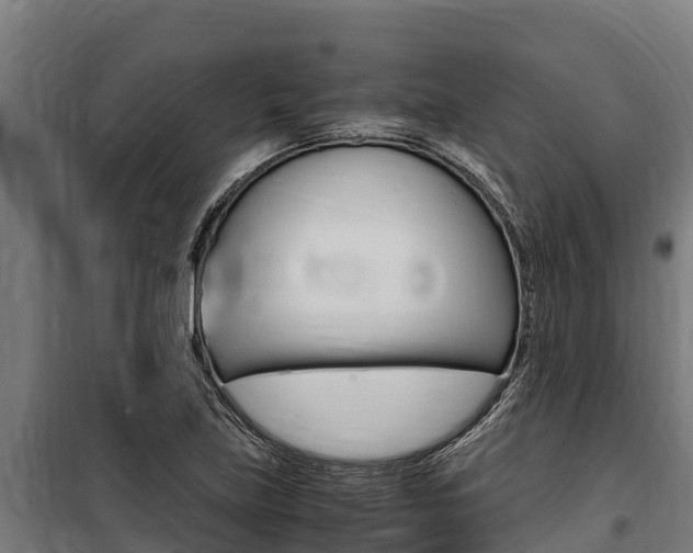 X0000100851219200806200754