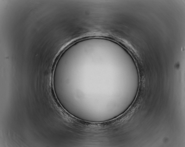 X0000100851220200806200754