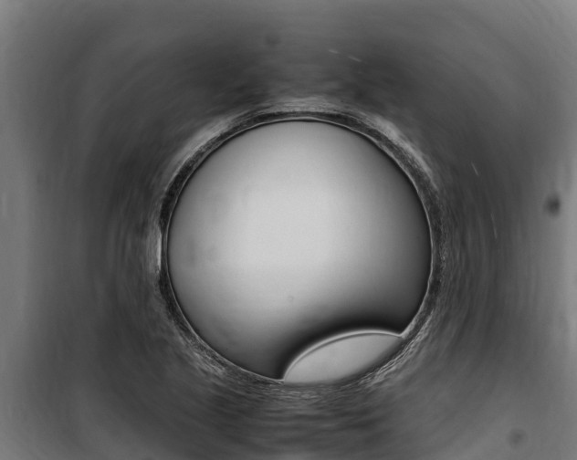 X0000100851221200806200754