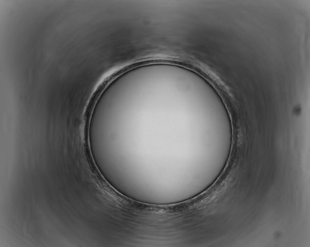 X0000100851222200806200754