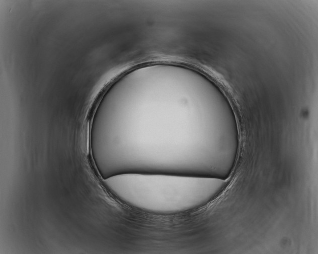 X0000100851223200806200754