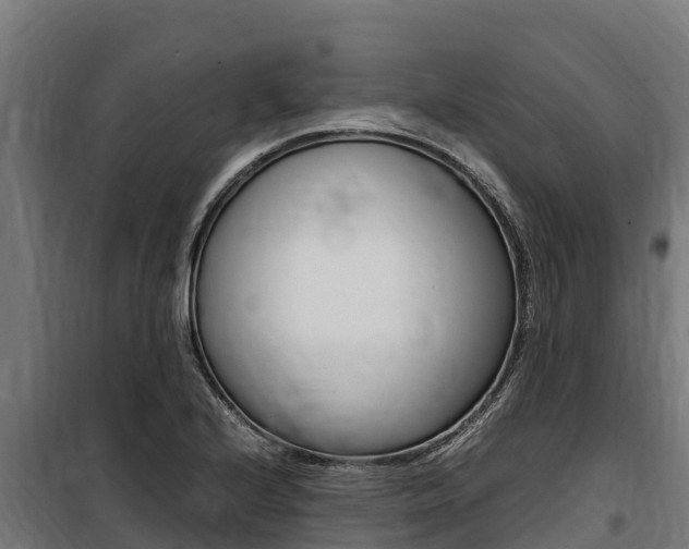 X0000100851224200806200754