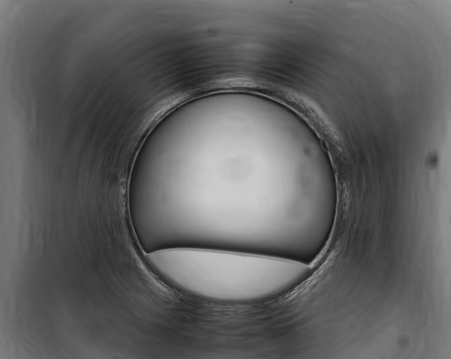 X0000100851225200806200754