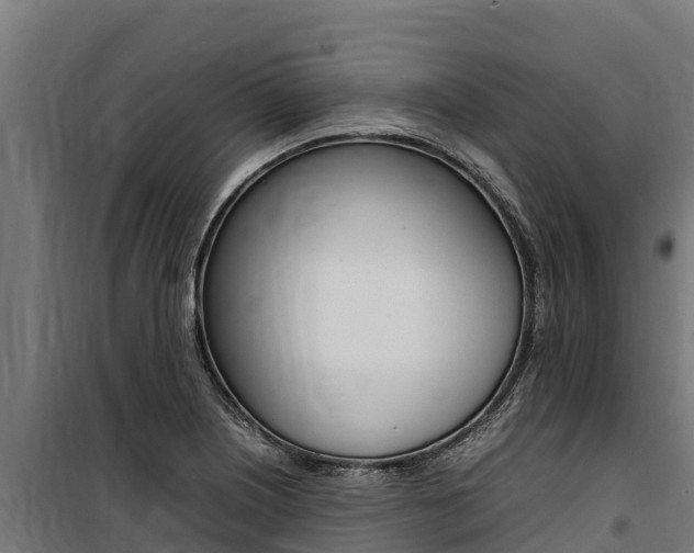 X0000100851226200806200754