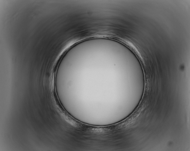 X0000100851227200806200754