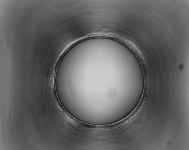 X0000100851228200806200754