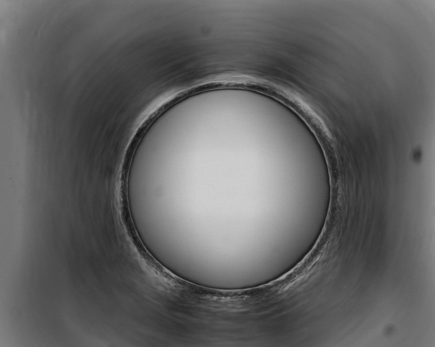 X0000100851229200806200754