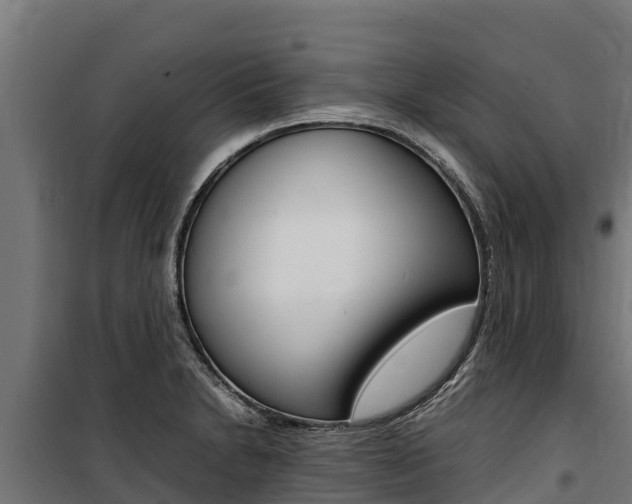 X0000100851230200806200754