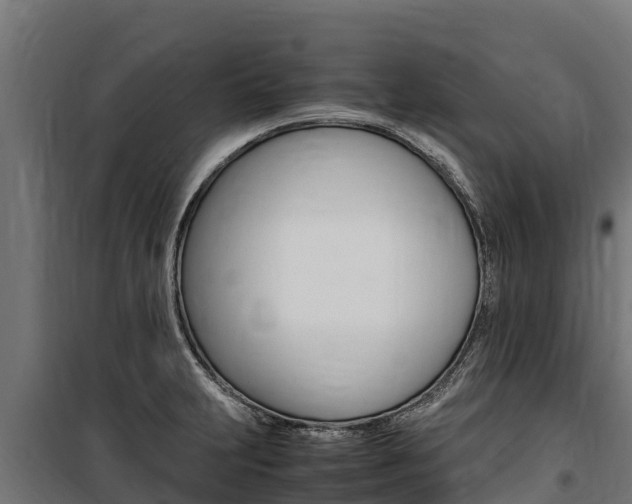 X0000100851231200806200754