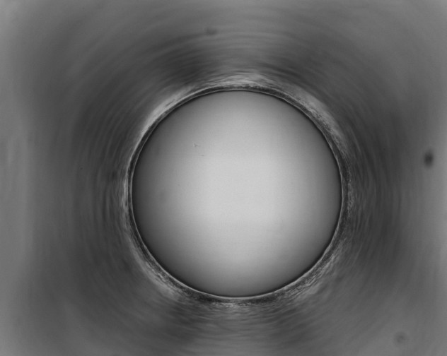 X0000100851234200806200754