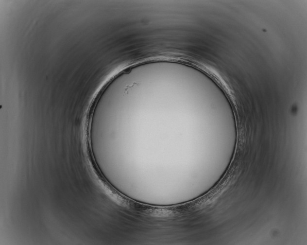 X0000100851235200806200754