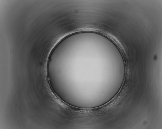 X0000100851236200806200754
