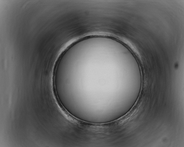 X0000100851237200806200754