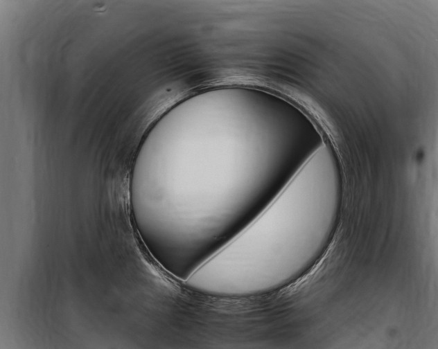 X0000100851241200806200754
