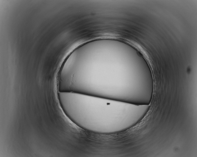 X0000100851243200806200754