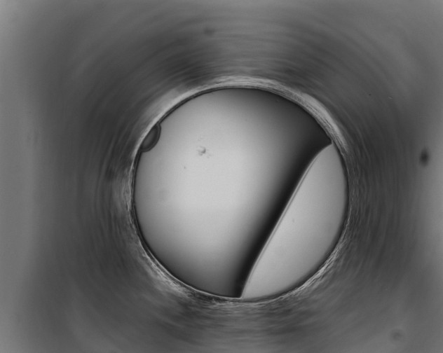 X0000100851244200806200754