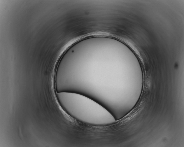 X0000100851245200806200754