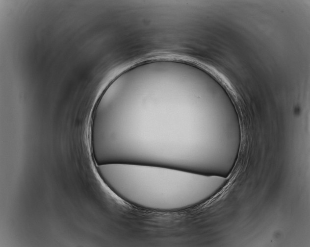 X0000100851247200806200754
