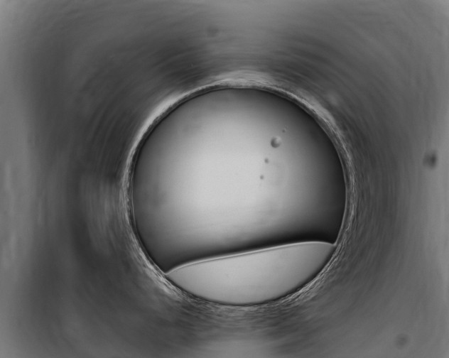 X0000100851248200806200754