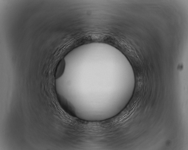 X0000100851249200806200754