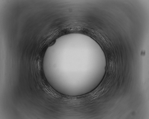 X0000100851250200806200754