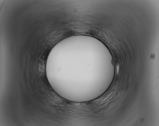 X0000100851251200806200754