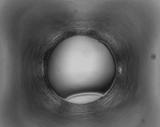 X0000100851252200806200754