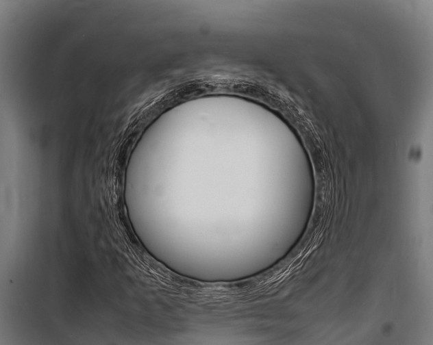 X0000100851253200806200754
