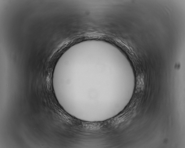 X0000100851254200806200754