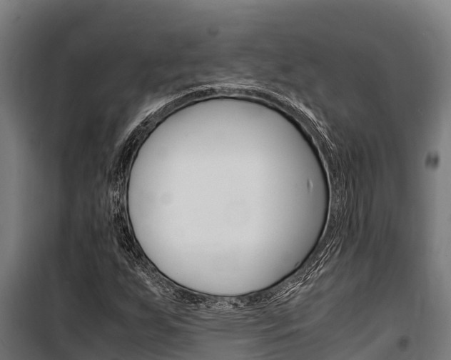 X0000100851255200806200754