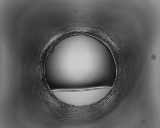 X0000100851256200806200754