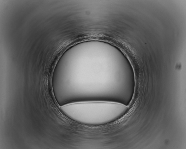 X0000100851257200806200754