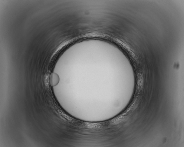 X0000100851258200806200754