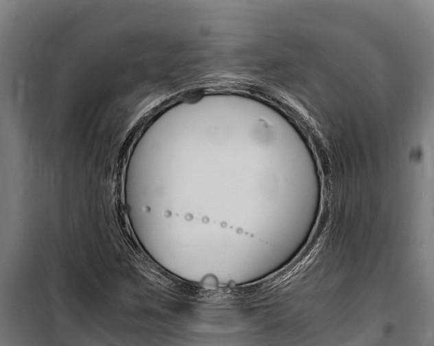 X0000100851259200806200754