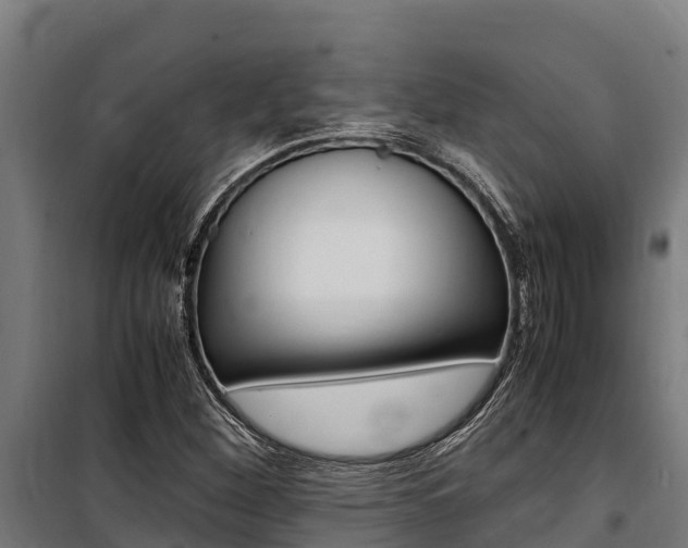 X0000100851260200806200754