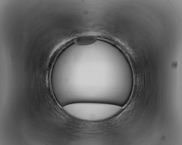 X0000100851262200806200754