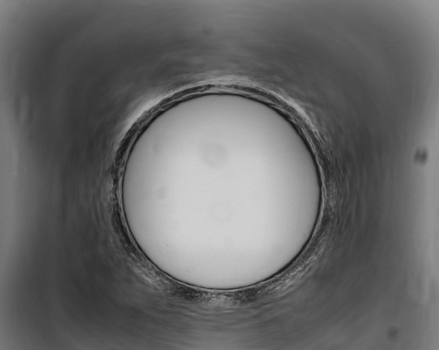 X0000100851263200806200754
