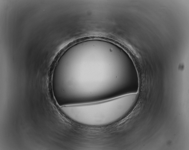 X0000100851264200806200753