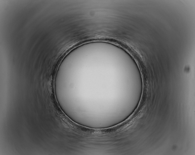 X0000100851265200806200753