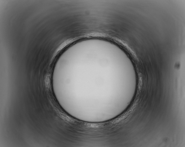 X0000100851266200806200753