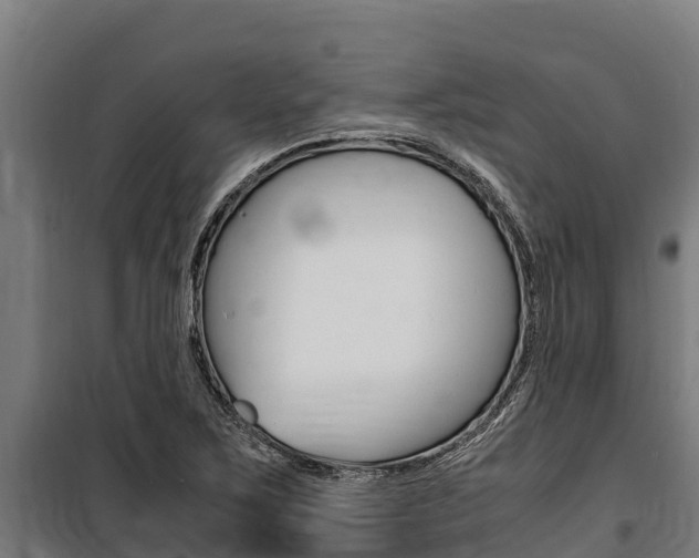 X0000100851267200806200753