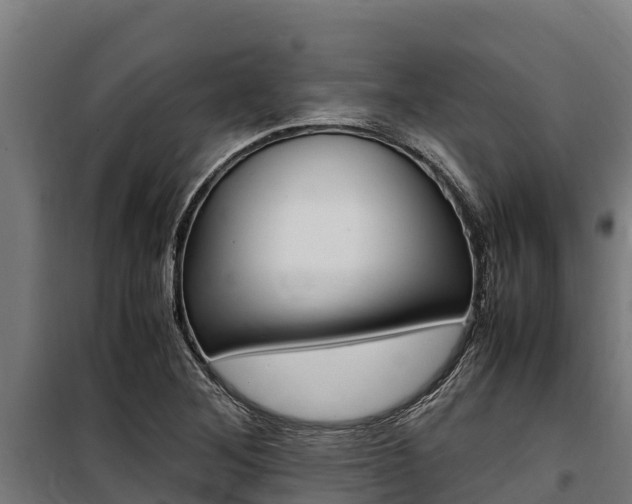 X0000100851268200806200753