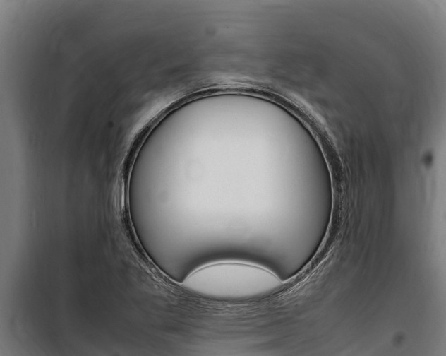 X0000100851269200806200753