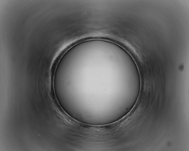 X0000100851270200806200753