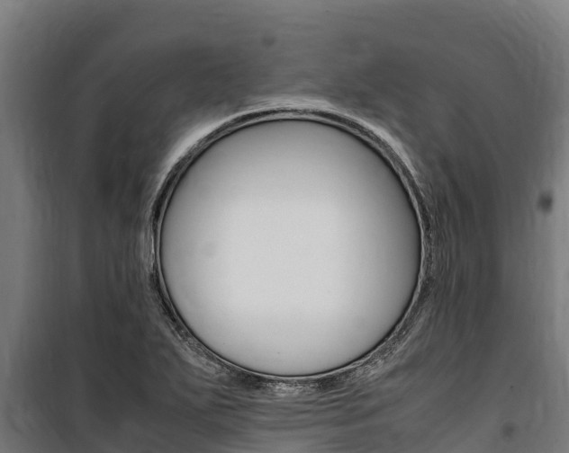 X0000100851271200806200753