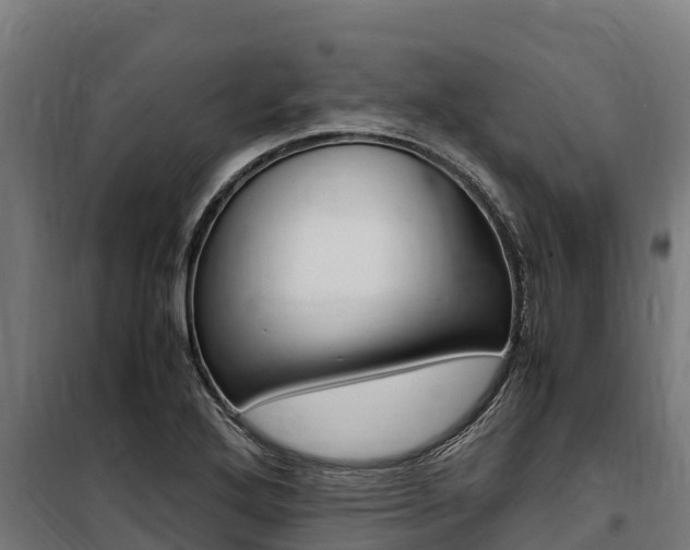 X0000100851272200806200753