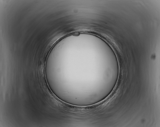 X0000100851273200806200753