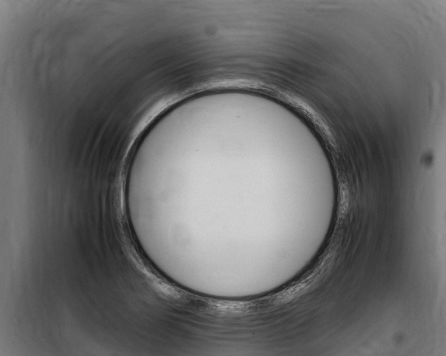 X0000100851274200806200753