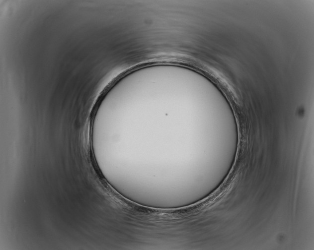 X0000100851275200806200753